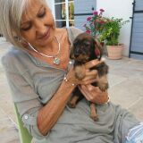 Photo de profil de Brigitte Estrade