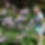 Photo de profil de Catherine Sauvage