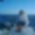 Photo de profil de Astrid de Tourtier