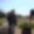 Photo de profil de Christophe Braud