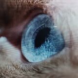 Photo de profil de Valérie Lacaille