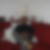 Photo de profil de Theolade Rodolphe