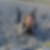Photo de profil de Lucile Decamps