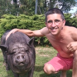 Photo de profil de Philippe Rosset