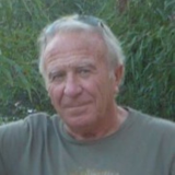 Photo de profil de José Carpio