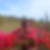 Photo de profil de Gisele Carriere