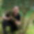 Photo de profil de Pascal Rousseau