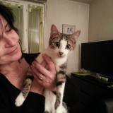Photo de profil de Isabelle Lebrun