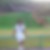 Photo de profil de Bruno Ravel