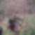 Photo de profil de Frederic Laffont