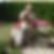 Photo de profil de Francis Caille