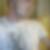 Photo de profil de David Huet