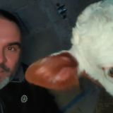 Photo de profil de Thierry Urban