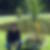 Photo de profil de Patrice Clement