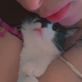 Photo de profil de Nadia Guetari