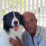Photo de profil de Jean Rollet