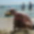 Photo de profil de Patrick Belin