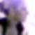 Photo de profil de Florie Rouget