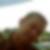 Photo de profil de Sebastien Thos