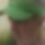 Photo de profil de Adrien Amice