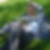 Photo de profil de Kamel Alilat
