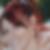 Photo de profil de Laurence Lux