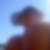 Photo de profil de Christophe Coste