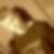 Photo de profil de Tom Roussel