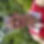 Photo de profil de Mickael Chapon