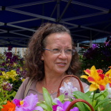 Photo de profil de Claude Ady