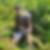 Photo de profil de Lucily Joseph Henri