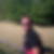 Photo de profil de Jacques David
