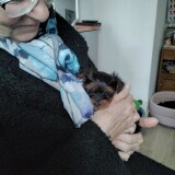 Photo de profil de Catherine Millet