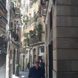 Photo de profil de Philippe Augustin