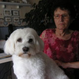 Photo de profil de Nicole Le Baot