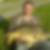 Photo de profil de Christophe Vaillant