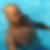 Photo de profil de José Turpin
