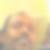 Photo de profil de Daoud Ahmed Sigad