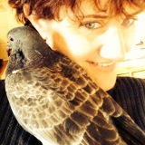 Photo de profil de Danielle Martin