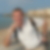 Photo de profil de Patrick Godard