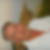 Photo de profil de Jean-Jacques Martin