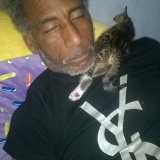 Photo de profil de Georges Jean Elie