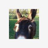 Photo de profil de Christine Andrieu