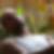 Photo de profil de Willy Relav