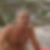Photo de profil de Morente Alcaide Francisco