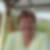 Photo de profil de Françoise Ledoux