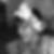 Photo de profil de Françoise Comte Haget