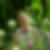 Photo de profil de Marie Claude Ruault