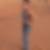 Photo de profil de Sandy Faure-Vincent
