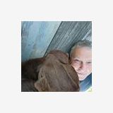 Photo de profil de Alain Gateau